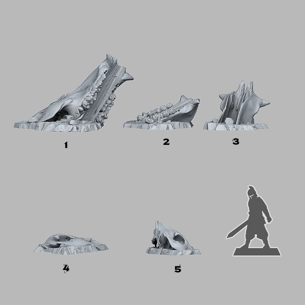 Old Creature Bones