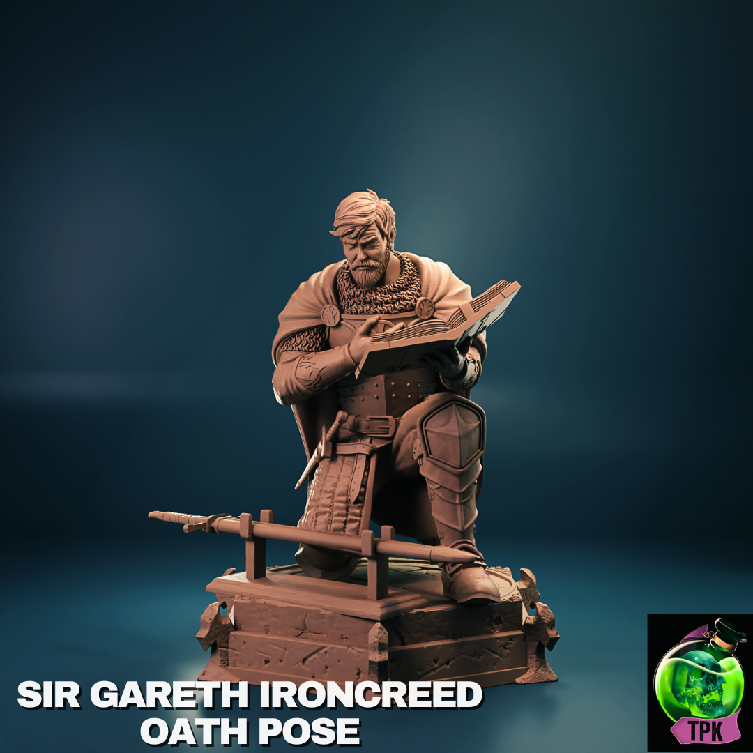 Sir Gareth Ironcreed Oath Pose