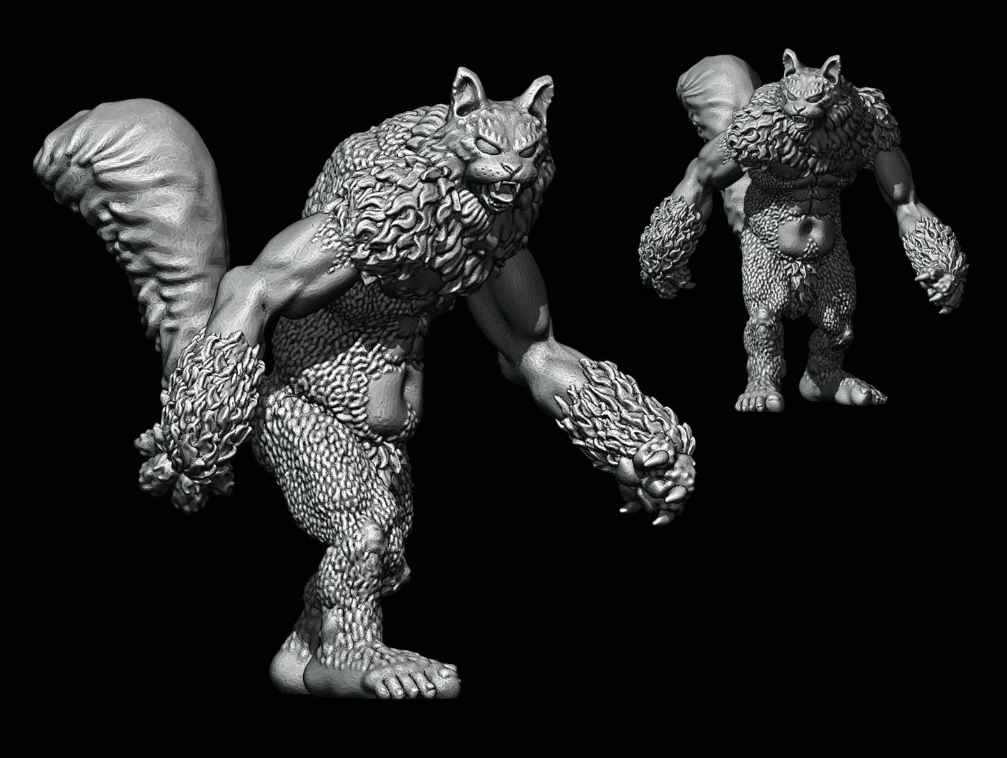 Catsquatch