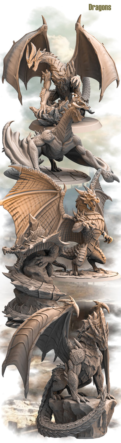 Dragons - RN Estudio Collection