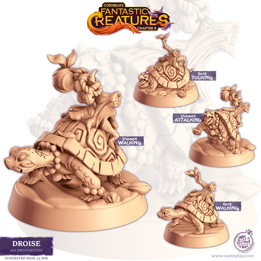 Droise aka Droughtoise