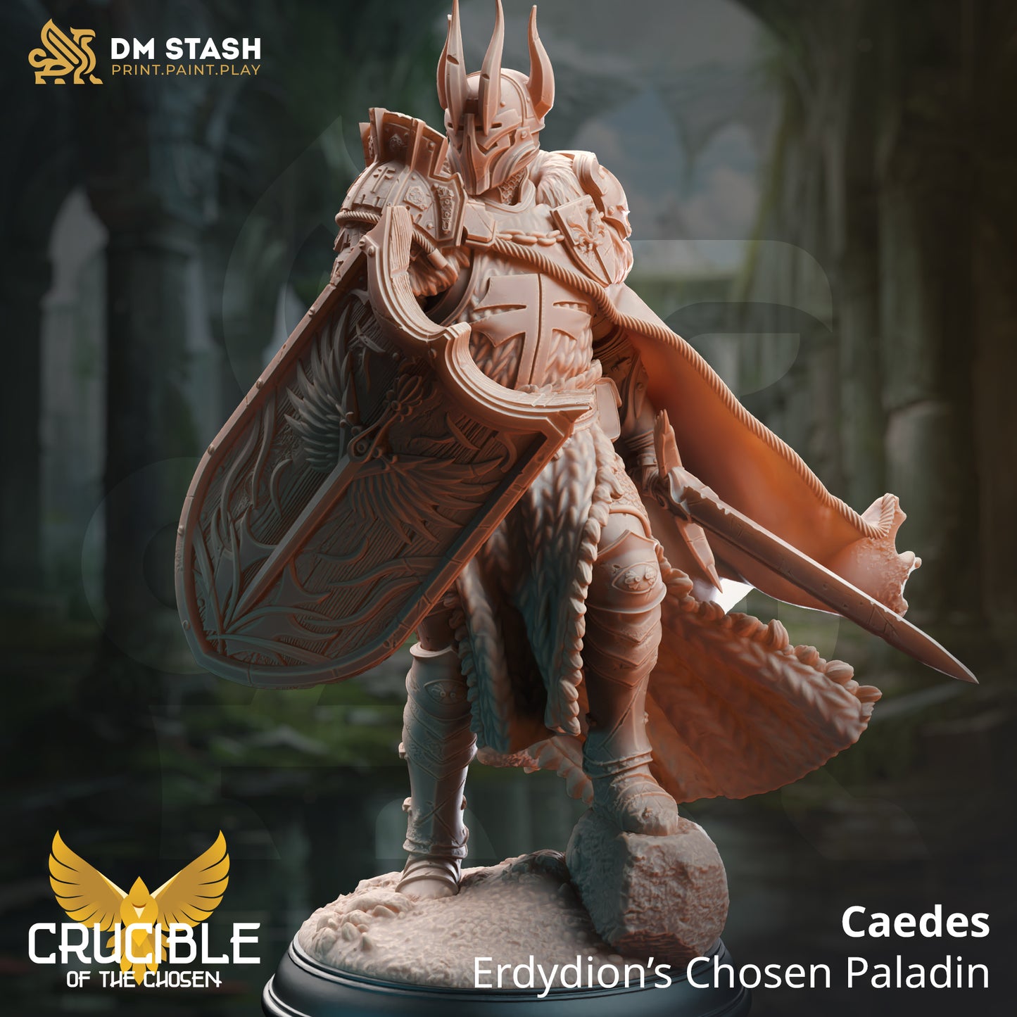 Caedes - Erdydion's Chosen Paladin