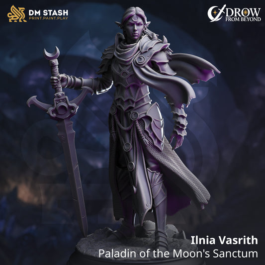Ilnia Vasrith, Paladin of the Moon's Sanctum
