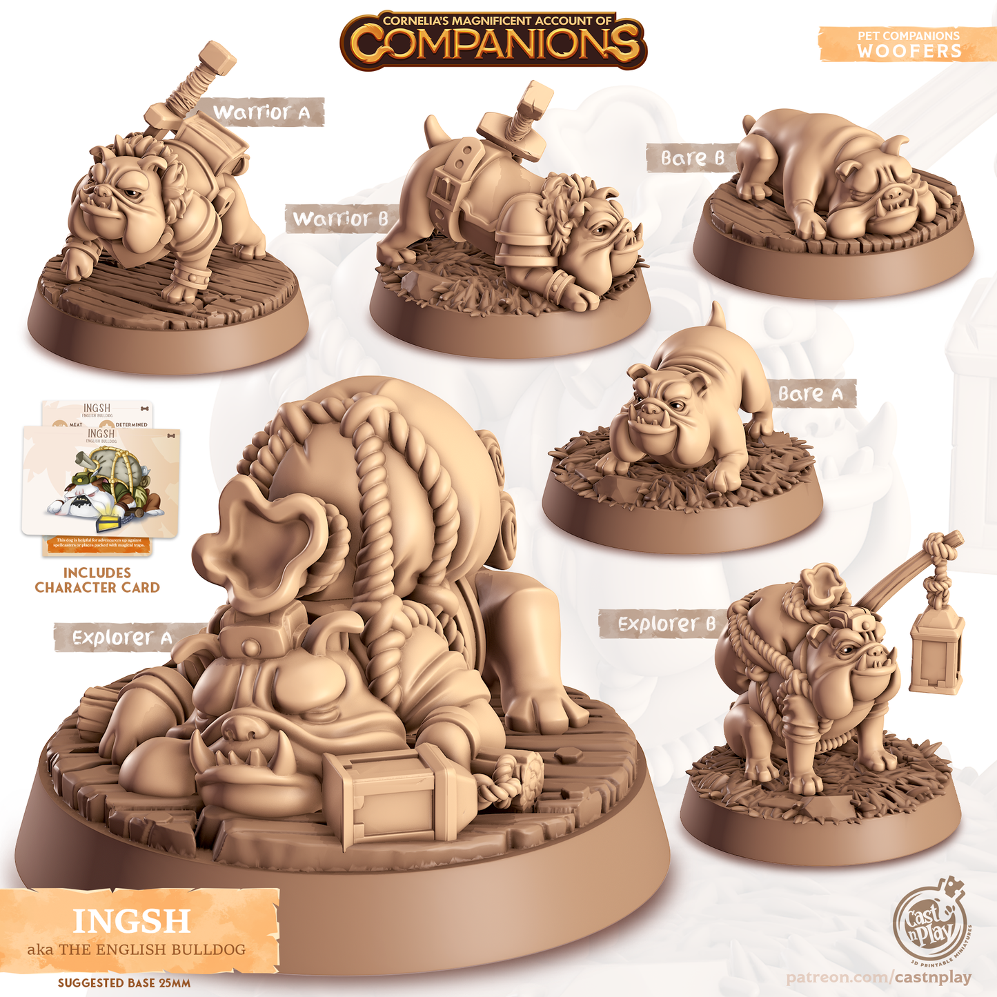 Ingsh the English Bulldog