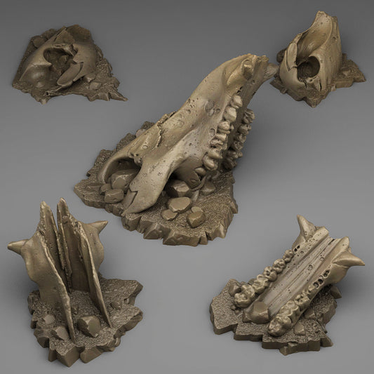 Old Creature Bones