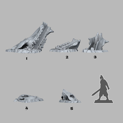 Old Creature Bones