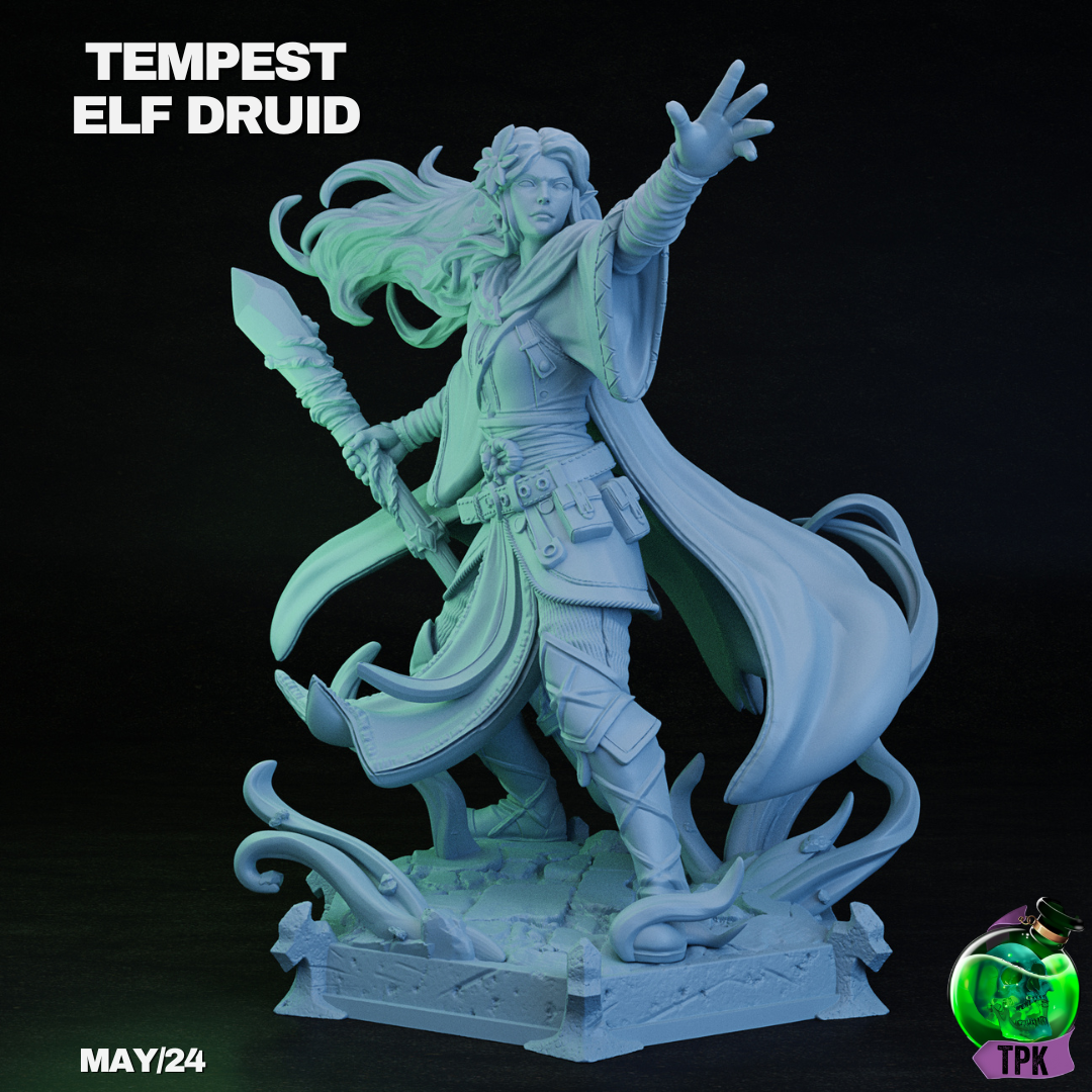 Tempest Elf Druid