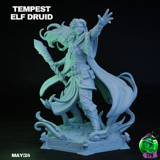 Tempest Elf Druid