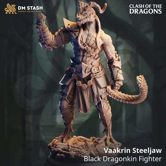 Vaakrin Steeljaw, Black Dragonkin Fighter