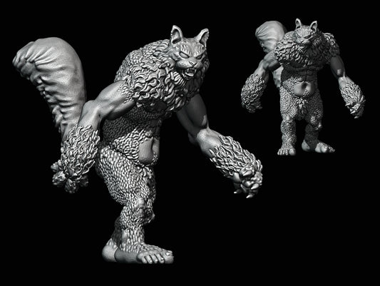 Catsquatch