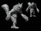Catsquatch