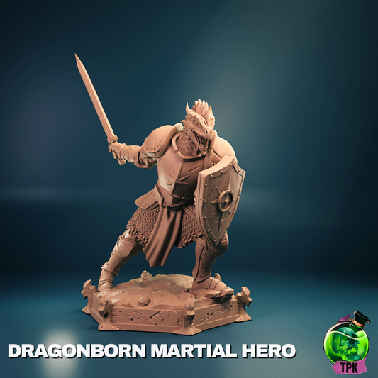 Dragonborn Martial Hero
